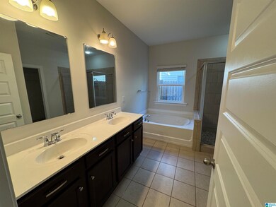 662 Chelsea Station Cir, Chelsea, AL 35043 - photo 7