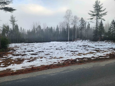 00 Little River Rd unit 80, Carroll, NH 03595 - photo 4