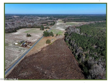 Lot 2 Wire Grass Rd, Orrum, NC 28369 - photo 4