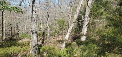 0 Dilly Cir unit 1184585, Bella Vista, AR 72715 - photo 2