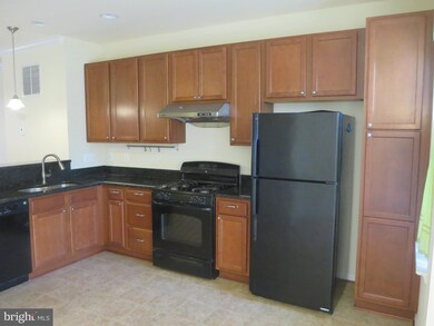 16762 Blackjack Oak Ln unit 45, Woodbridge, VA 22191 - photo 5
