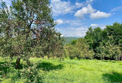 2901 West St, Proctor, VT 05765 - photo 5