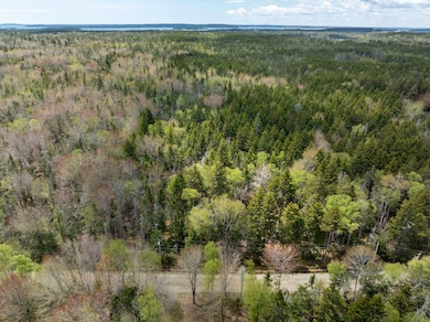 Map 10 Lots 6 & 165A, Duck Cove Road, R