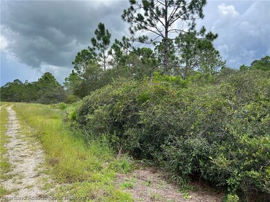 373 Showboat Ave, Lake Placid, FL 33852 - photo 6