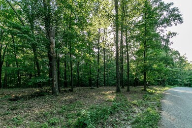 Lot 5 Ph 2 Misty River Subdivision, Nixa, MO 65714 - photo 3