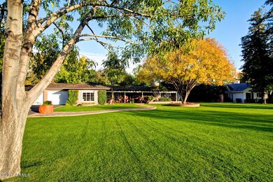 Another angle of front yard
