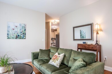 520 Hagy St. SW, Abingdon, VA