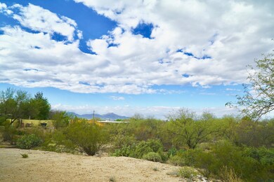 Tucson Mountains in Distance