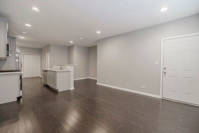 1906 W 17th St unit 1, Chicago, IL 60608 - photo 5
