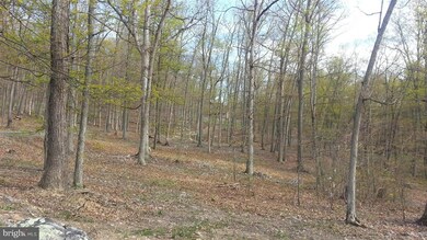 854 High Knob Rd, Old Fields, WV 26845 - photo 4