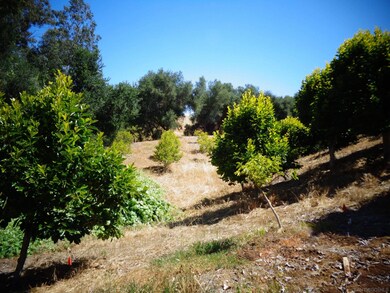 32829 Lilac unit 32829, Valley Center, CA 92082 - photo 2