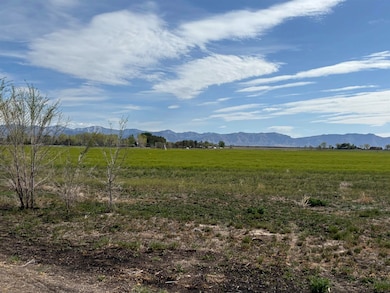 1402 O Rd, Loma, CO 81524 - photo 3