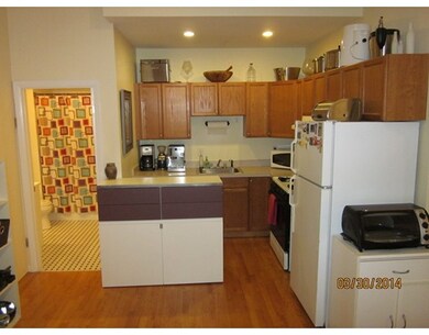 390 Norfolk St unit 1, Cambridge, MA 02139 - photo 5
