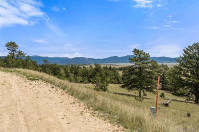 194 Rawhide Way, Como, CO 80432 - photo 4