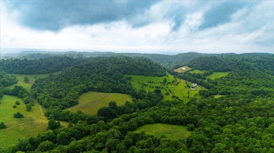 0 Opossum Paw Rd, Beechgrove, TN 37018 - photo 4