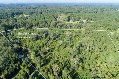 DJI_0777-SMALL