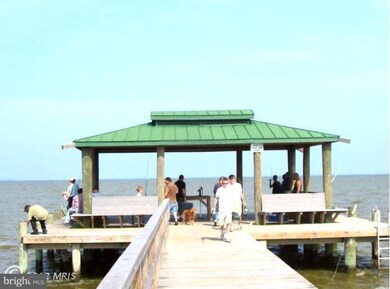 1231 Spruce Ave, Shady Side, MD 20764 - photo 6