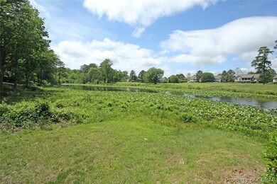 Overlooking pond...beautiful waterfowl.