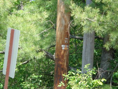 power pole near row