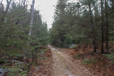 000 S Hendrie River Rd, Hulbert Township, MI 49748 - photo 5