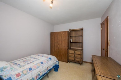 Bedroom with light carpet