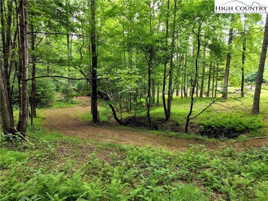 Tbd Brightwood Trail, Deep Gap, NC 28618 - photo 3