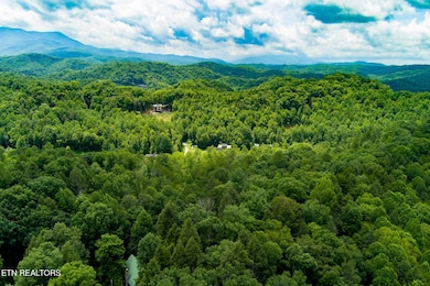 424 Tunis Rd, Pittman Center, TN 37876 - photo 7