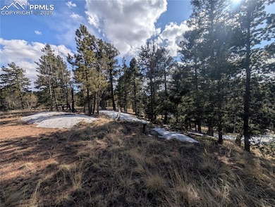 56 Rampart Cir, Florissant, CO 80816 - photo 4