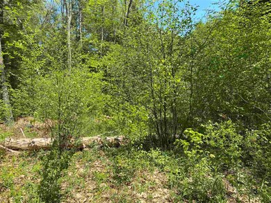 00 Old Swanzey Rd, Chesterfield, NH 03462 - photo 2