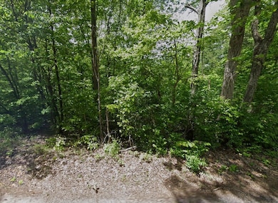 0 Tranquility Way, Smithville, TN 37166 - photo 3