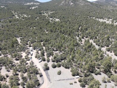 1713 7th Trail, Texas Creek, CO 81223 - photo 3