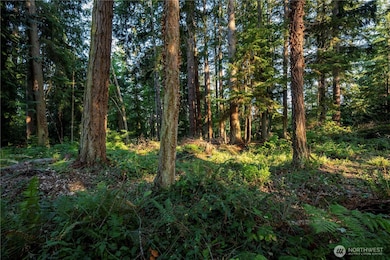 0 Ships Haven Dr unit NWM2414859, Freeland, WA 98249 - photo 4