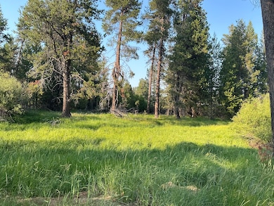 55086 Log Bridge Dr, Bend, OR 97707 - photo 6