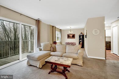 524 Mcmanus Way unit C2, Towson, MD 21286 - photo 6