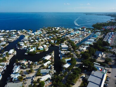 AERIAL OF THE AREA