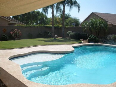 Backyard Pool (1)