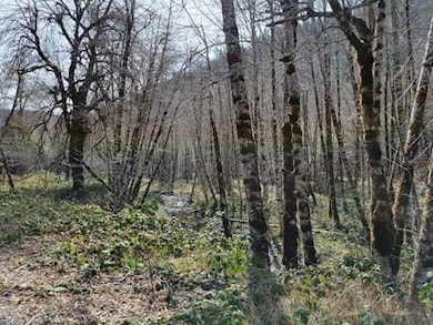 10777 Caves Hwy, Cave Junction, OR 97523 - photo 5