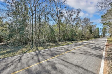 7811 Black Oak Dr, Magnolia, TX 77354 - photo 2