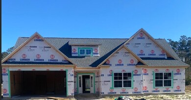 1733 Cane Branch Rd, Loris, SC 29569 - photo 3