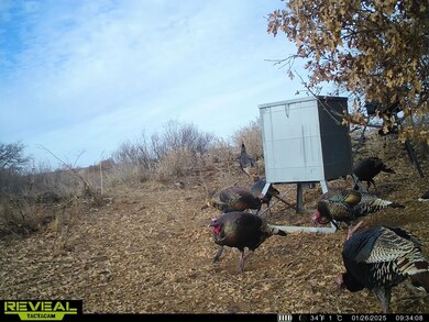 11596 N 1780 Rd, Sayre, OK 73662 - photo 7