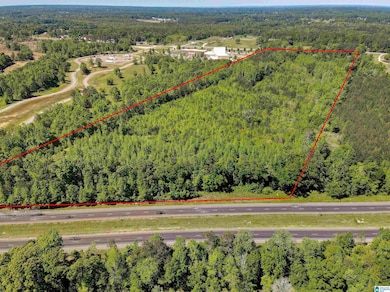 1912 Lay Dam Rd, Clanton, AL 35045 - photo 5