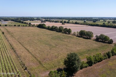 DJI_0823