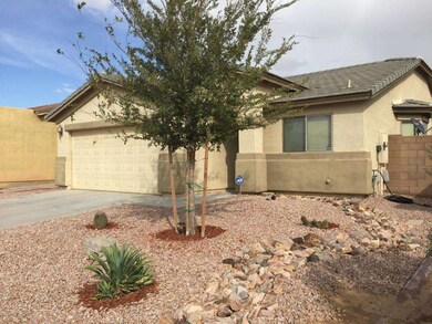 Desert Landscaping