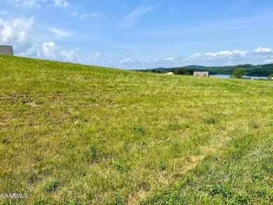 IMG_7334