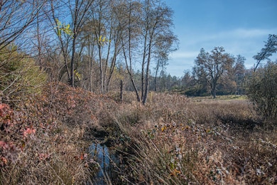 8545 Country Hills Ln, Cool, CA 95614 - photo 2