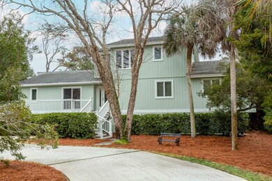 3619-Loggerhead-2New