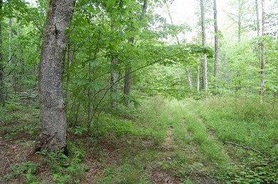 7 Bear Wallow Rd. - 1246393 006