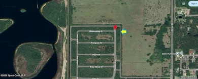 1431 Madden Ave, Palm Bay, FL 32908 - photo 5