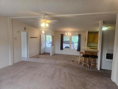 17 Jackass Ln, Datil, NM 87821 - photo 5