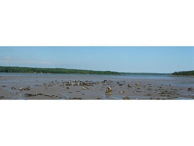 View.